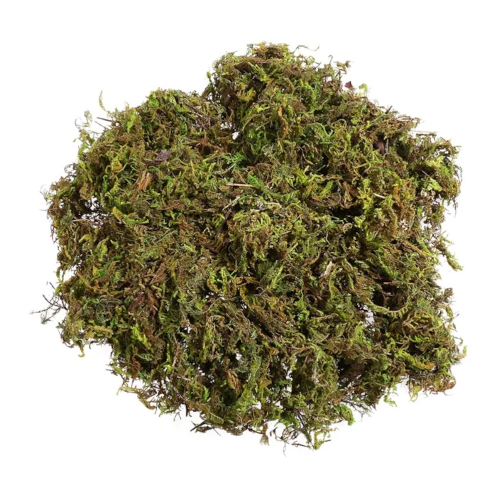 Musgo Natural Desidratado