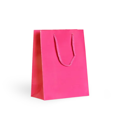 Bolsa de Papel Lisa CORES Grande com 10 un.