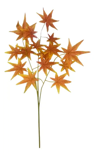 Galho de Ficus Laranja