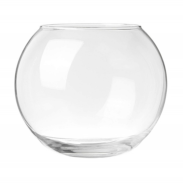 Vaso Aquário Transparente Médio