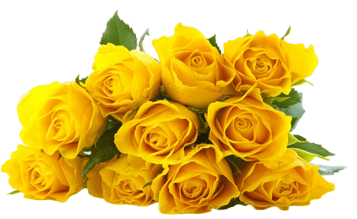 Buquê de rosas amarelas