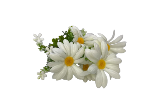 Buquê de margaridas