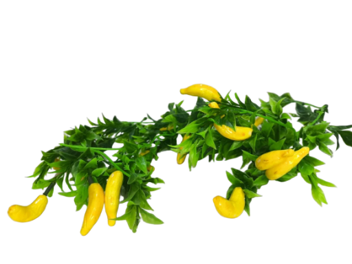 Buquê de Frutas