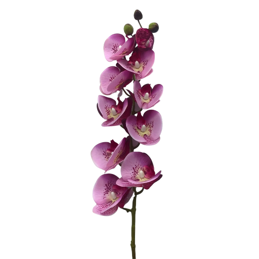 Ramo de Orquídea