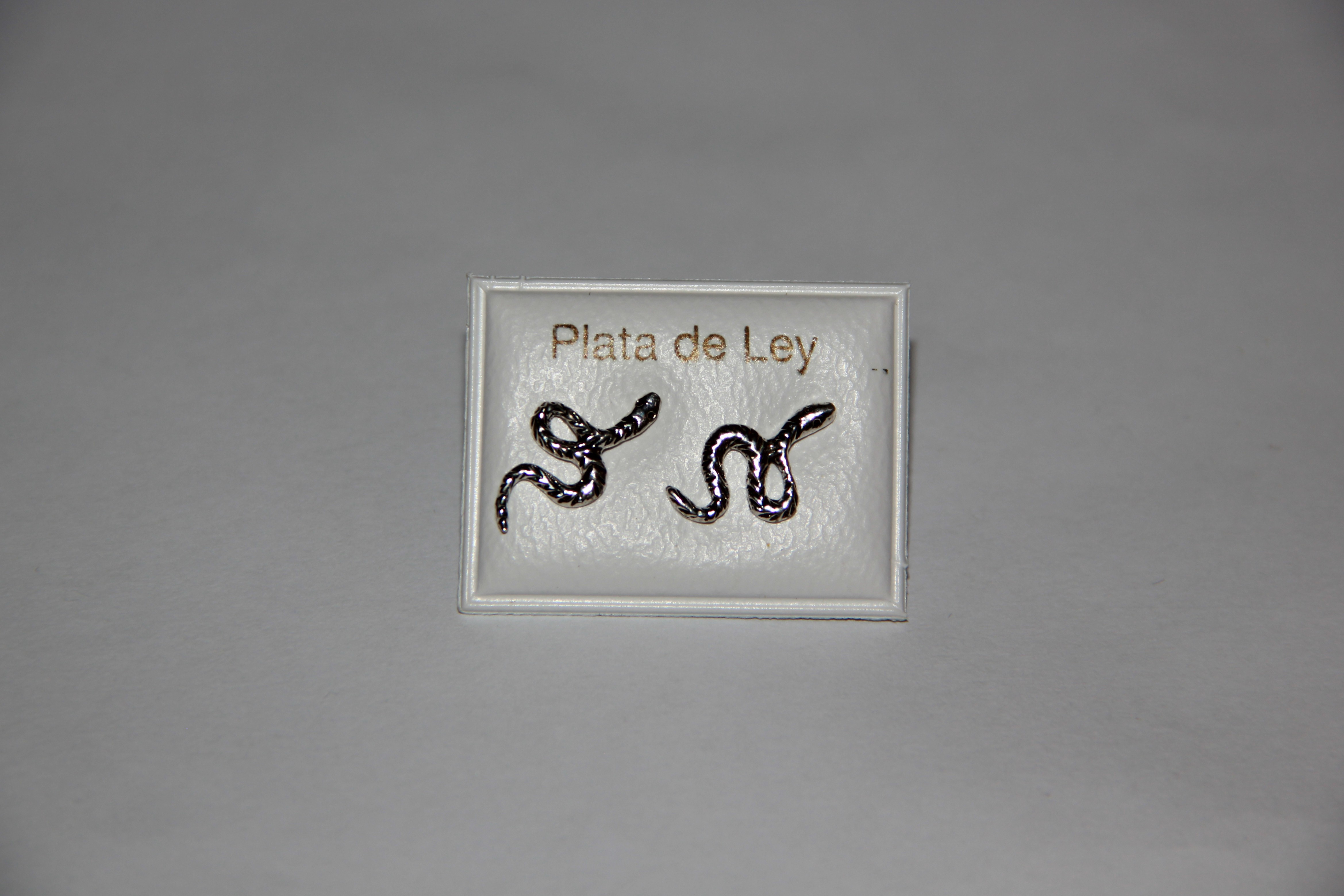 Pendientes De Serpientes 
