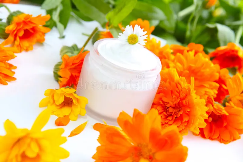 Cosméticos y Medicinas Naturales 