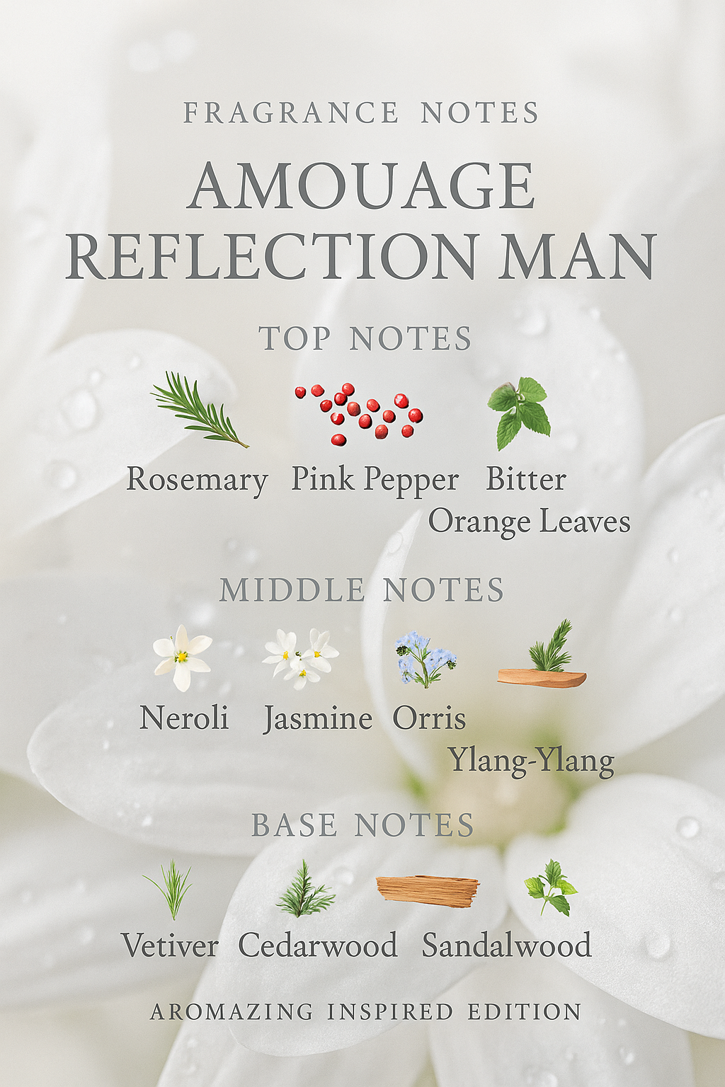 AMOAGE REFLECTION MEN (INSPIRED)