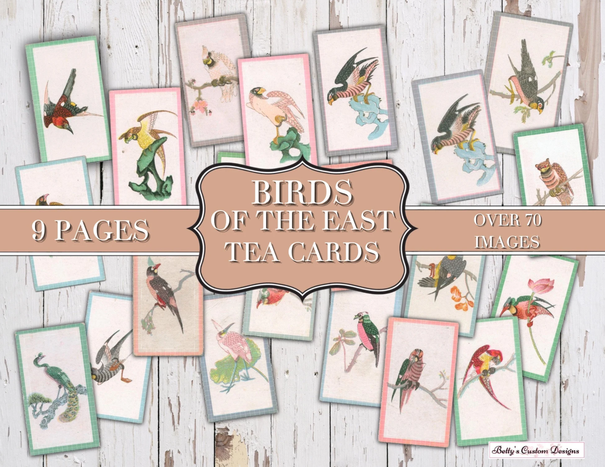 Birds of the East - Faux Tea Cards - Digital Tea Cards - Vintage Tea Cards - Printable - Junk Journal - Embellishment - Ephemera