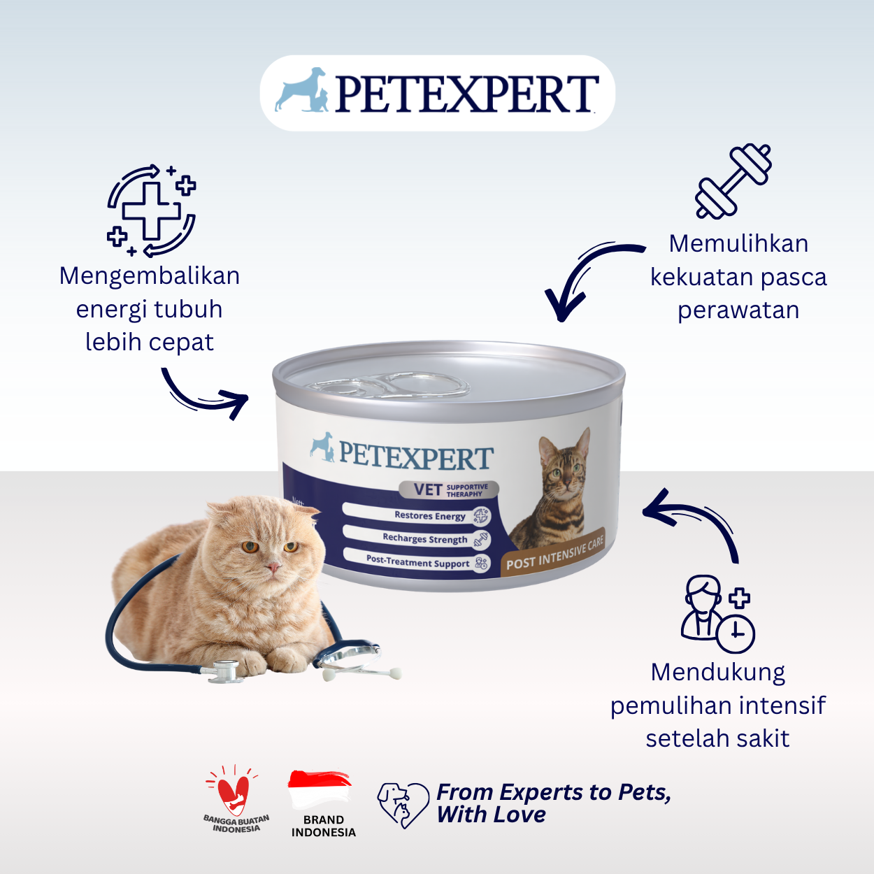 Vet Supportive Therapy Cat Post Intensive Care