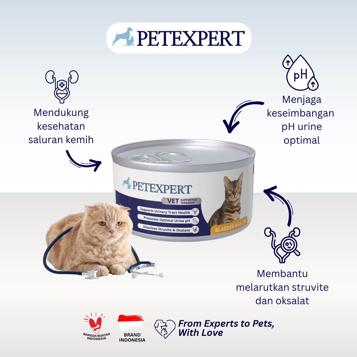 Vet Supportive Therapy Cat Bladder Health