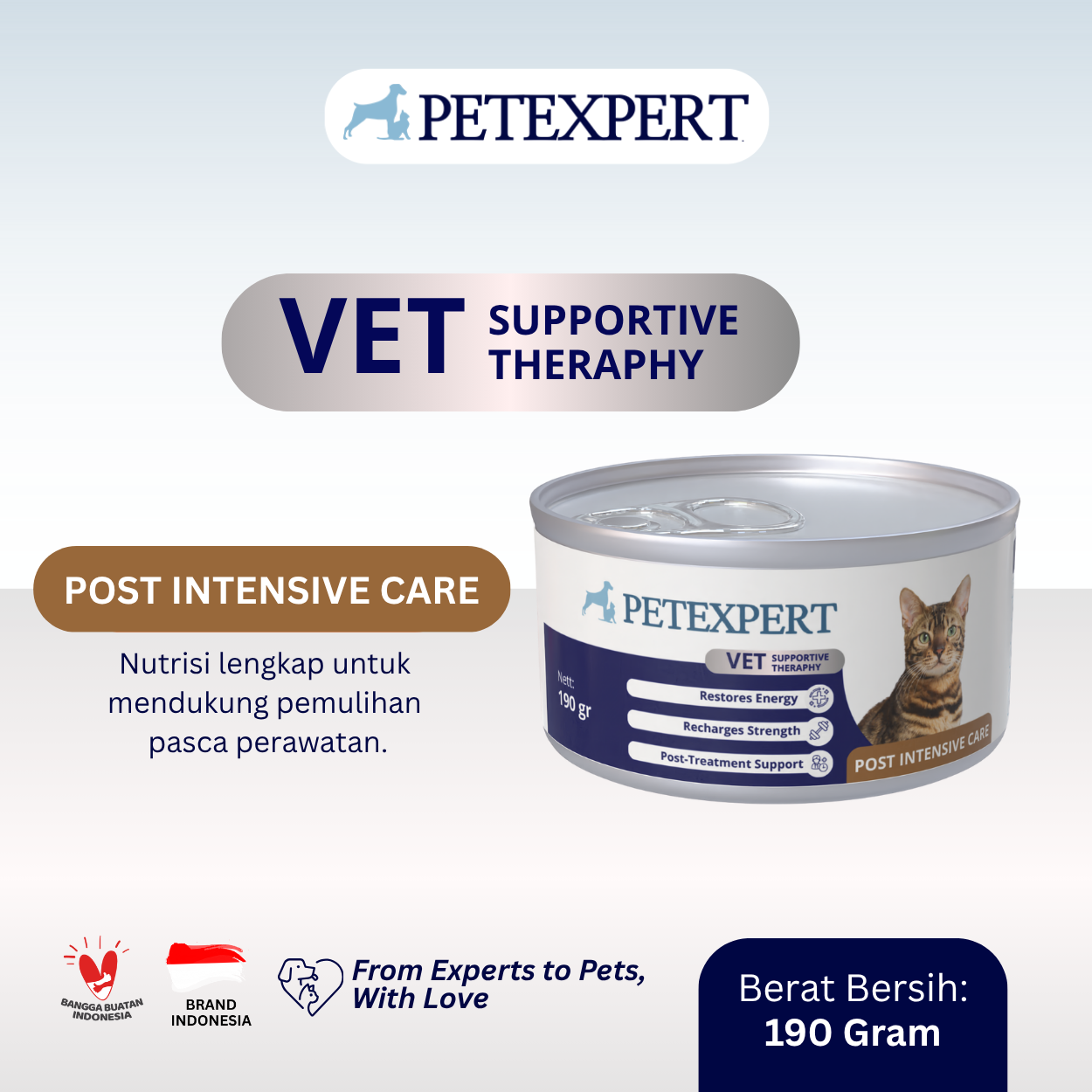 Vet Supportive Therapy Cat Post Intensive Care
