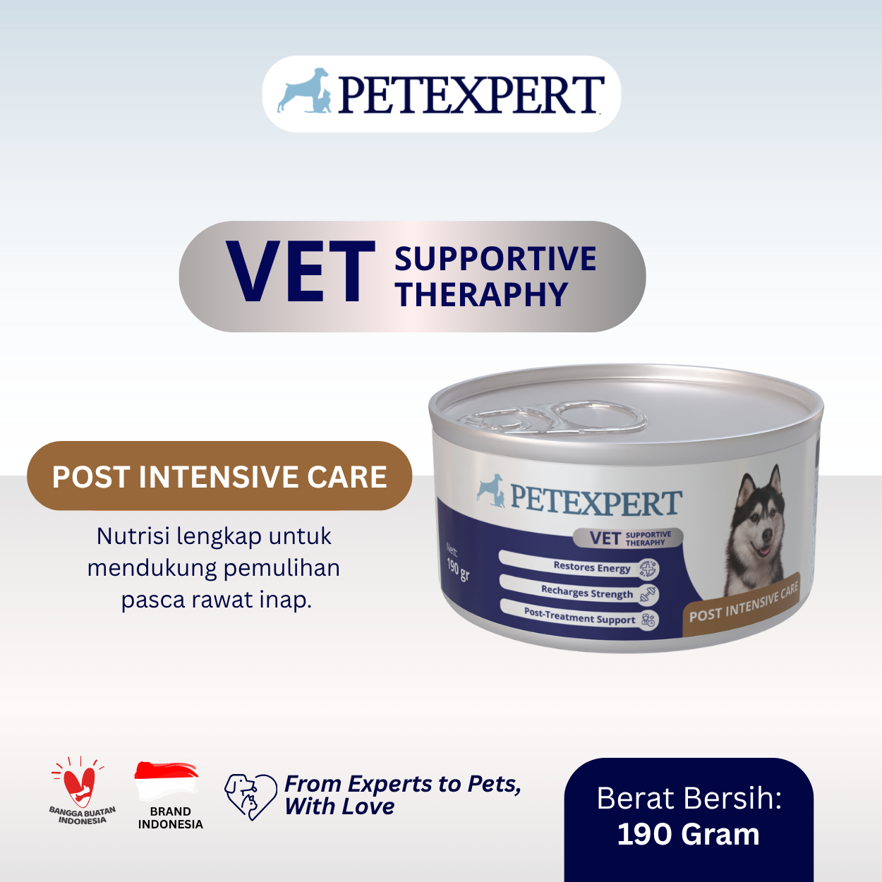 Vet Supportive Therapy Dog Post Intensive Care