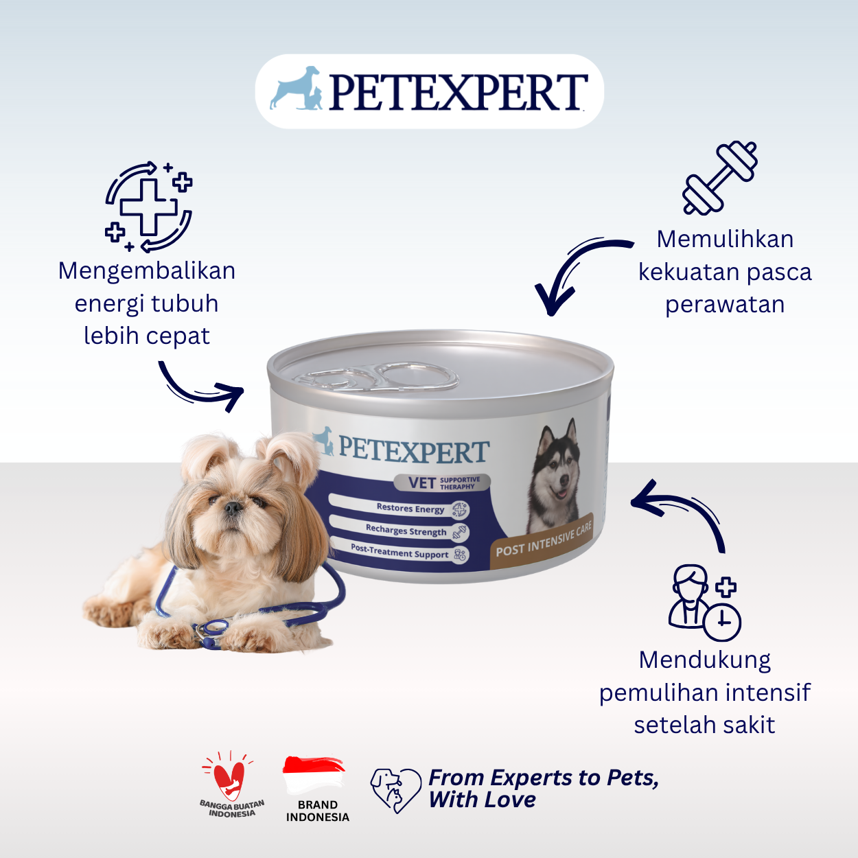 Vet Supportive Therapy Dog Post Intensive Care