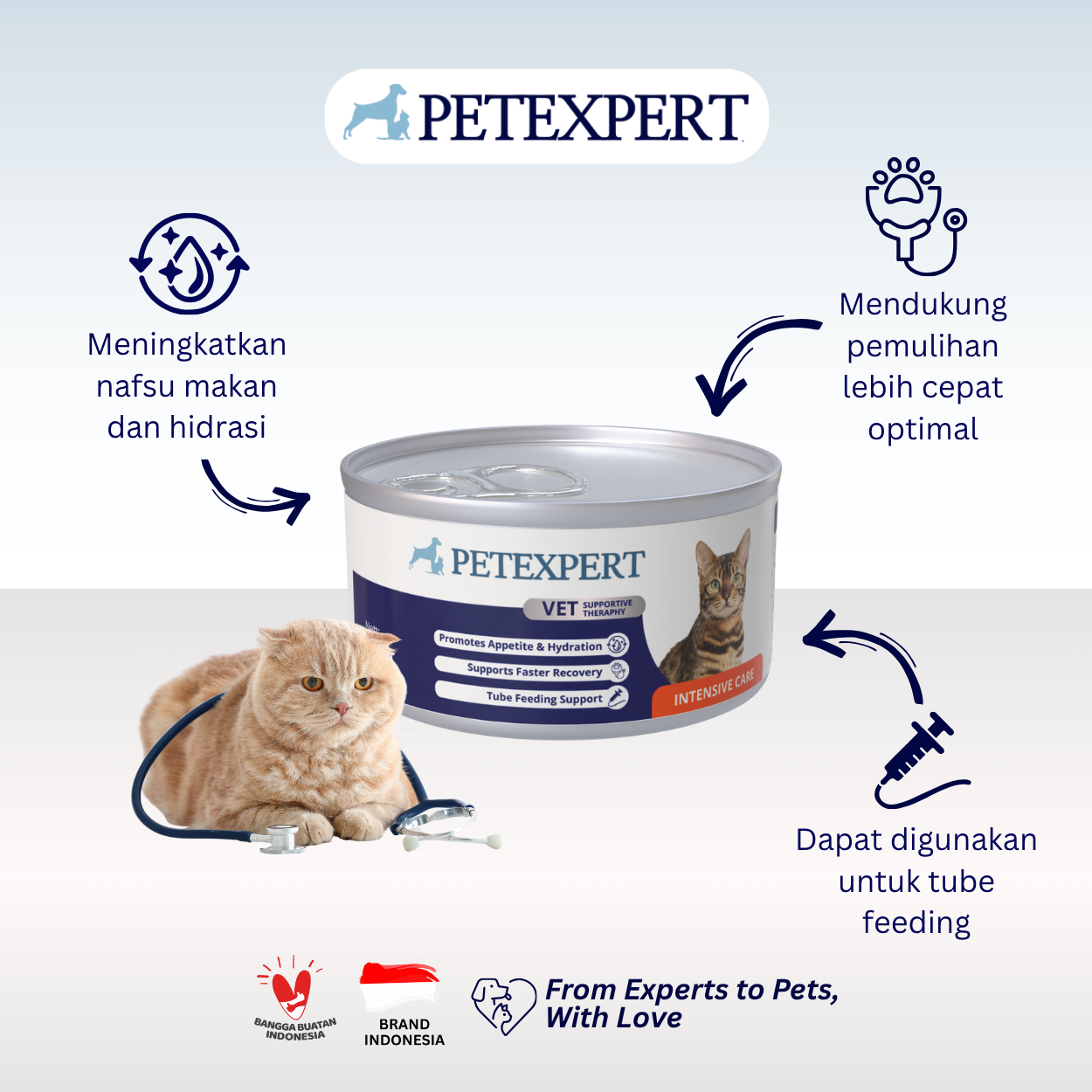 Vet Supportive Therapy Cat Intensive Care