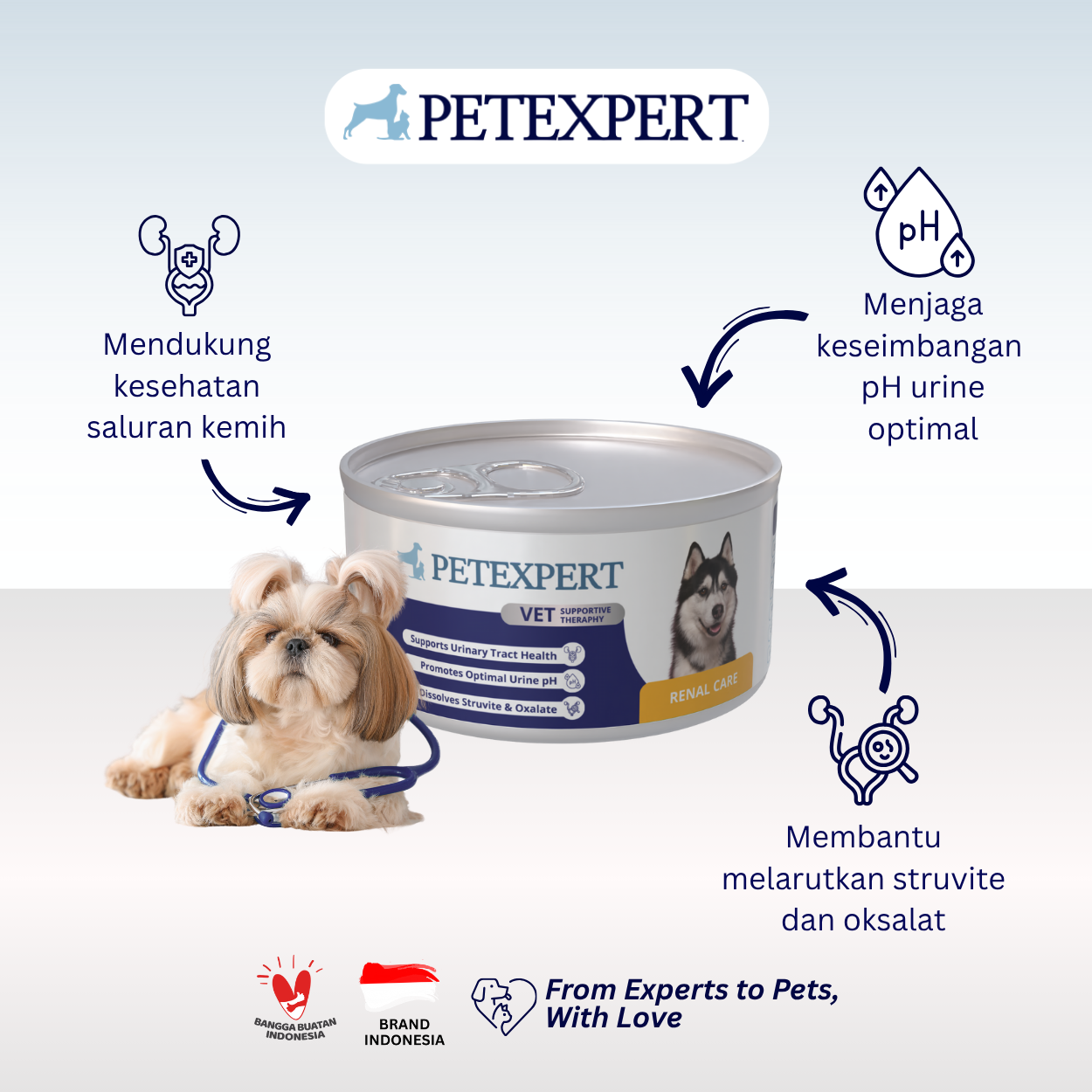 Vet Supportive Therapy Dog Renal Care