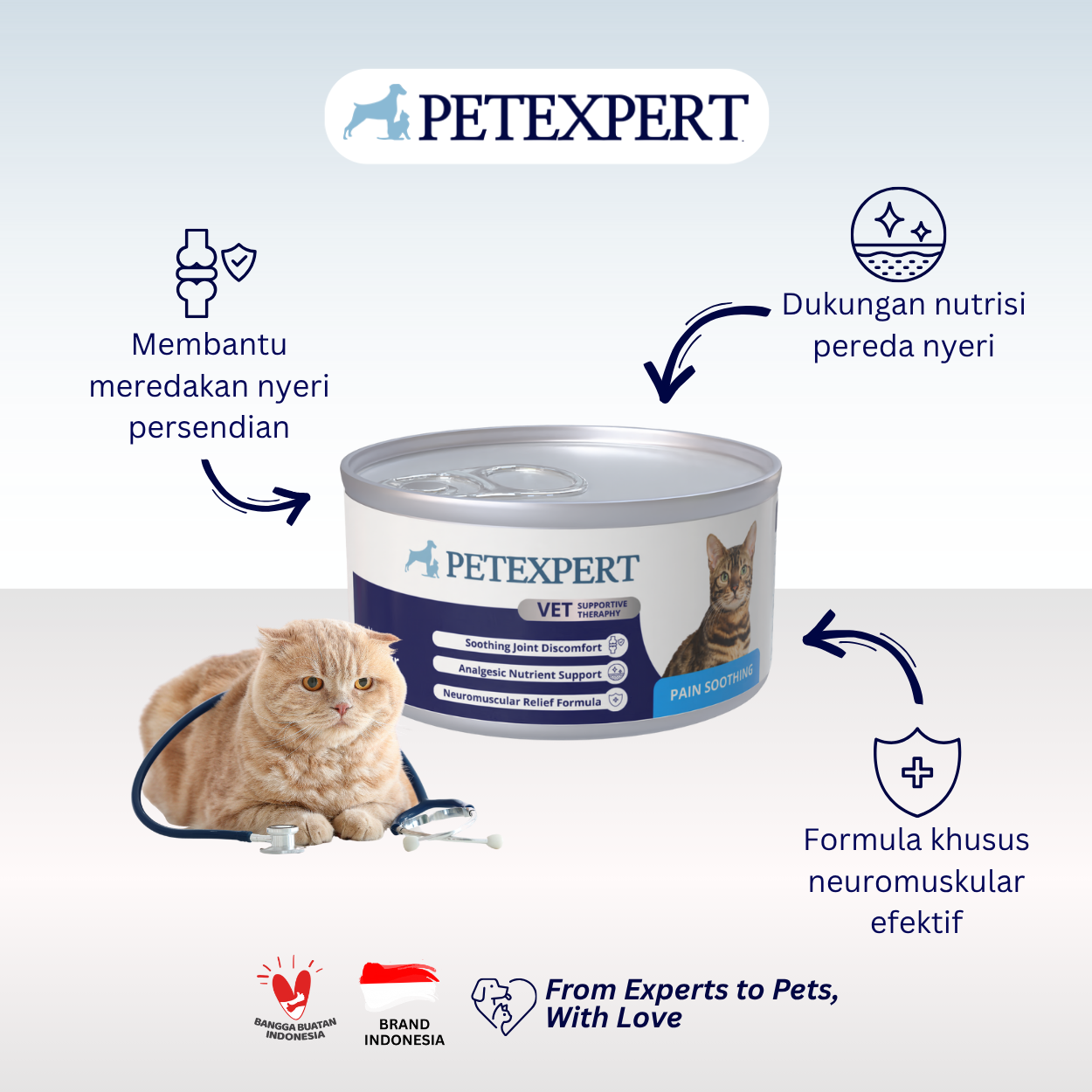Vet Supportive Therapy Cat Pain Soothing