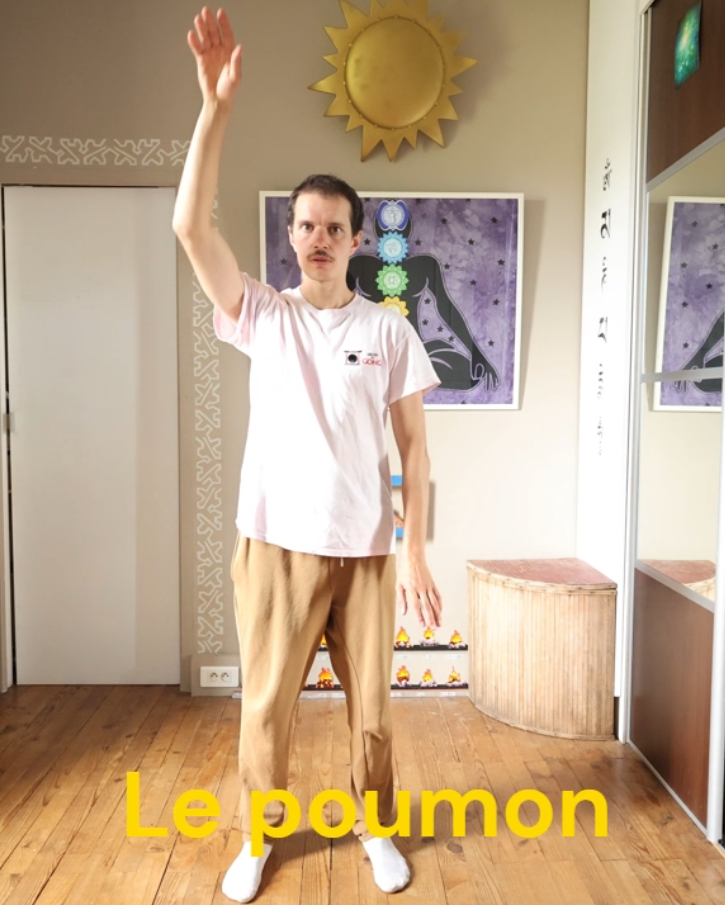 Qi Gong des 5 éléments