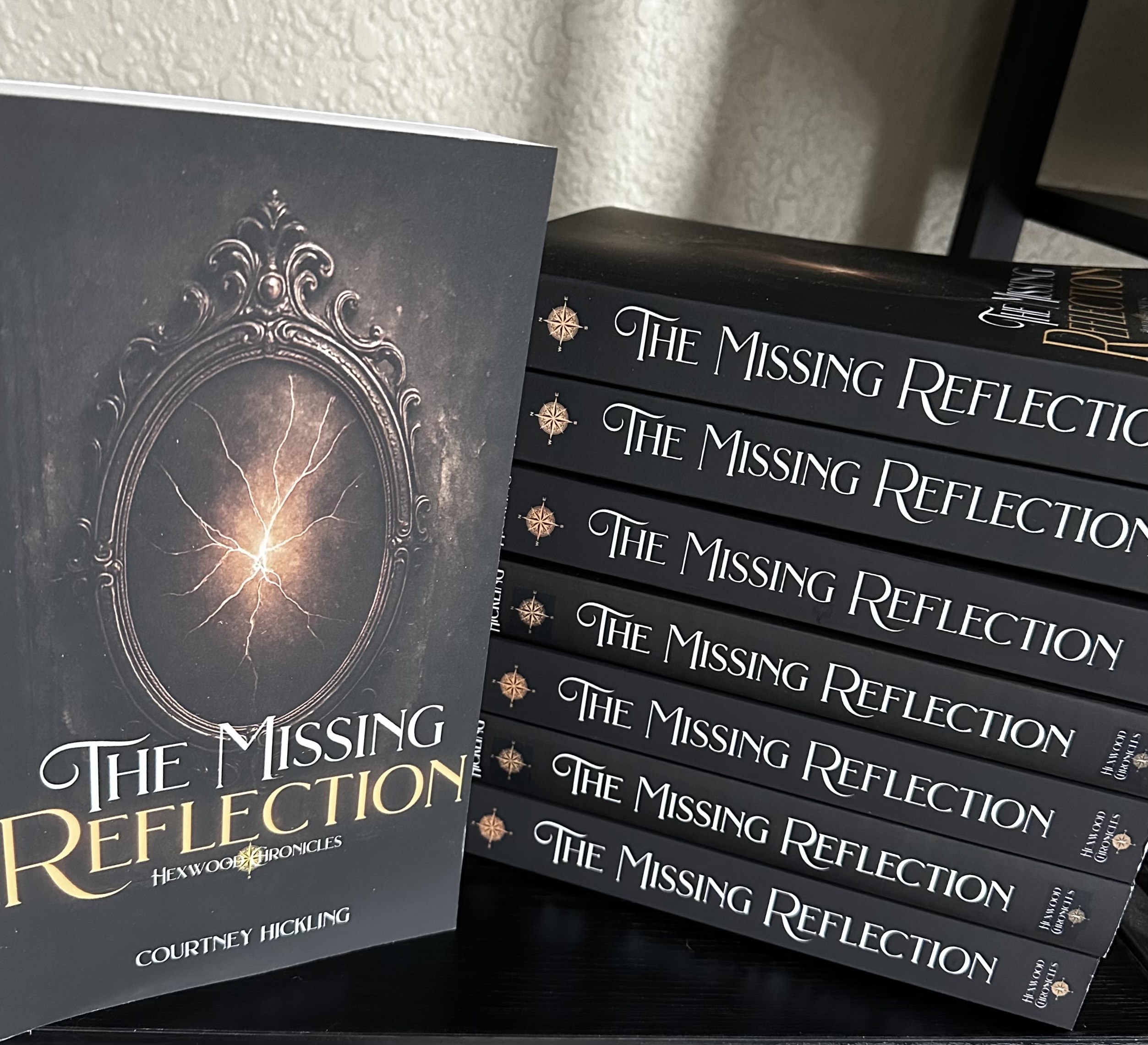 The Missing Reflection (Paperback)