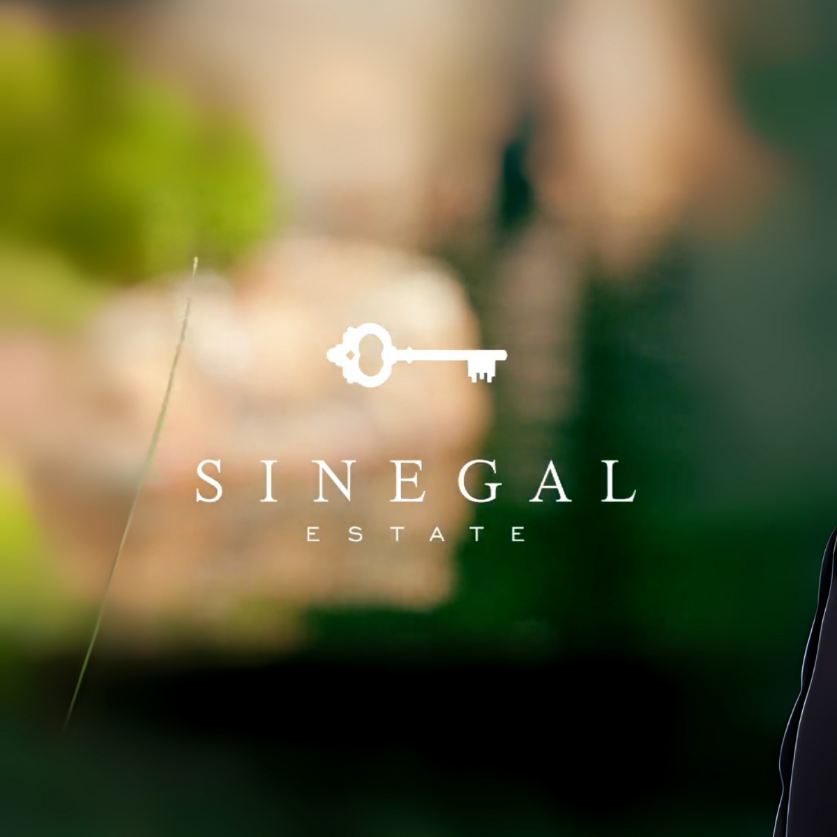 The Wine Tasting - Sinegal Estate