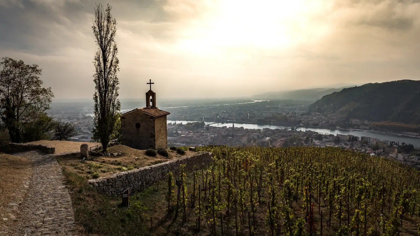 Monthly Wine Tasting : The Rhone Valley