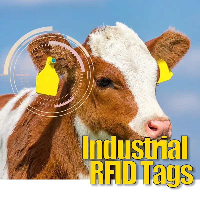 Industrial/Agriculture RFID Tags