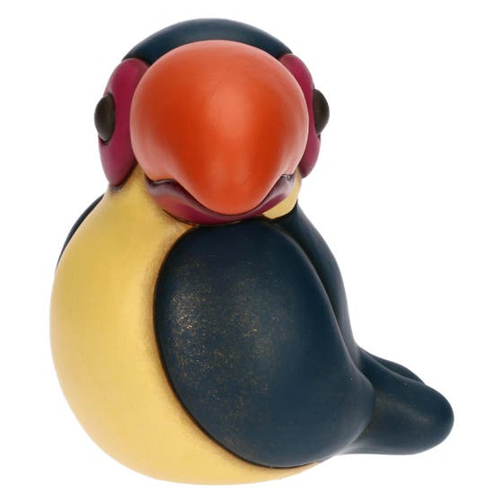 tucano medio occhi aperti