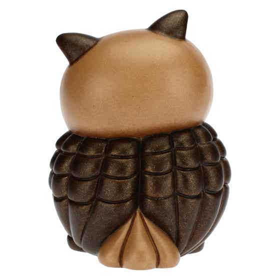 Gufo saggio con cuore piccolo