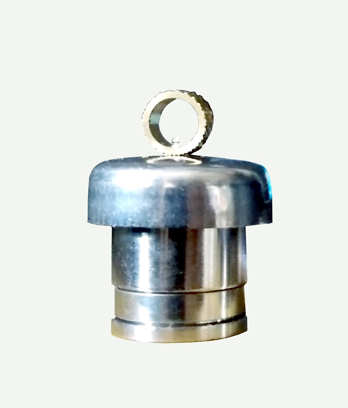 Stainless Steel Pressure Relief Valve