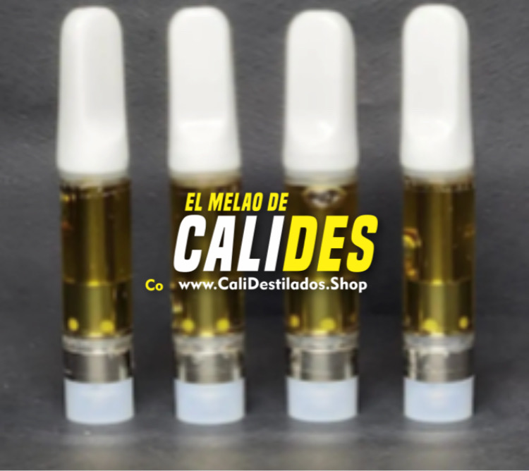 1 Capsula Destilado 