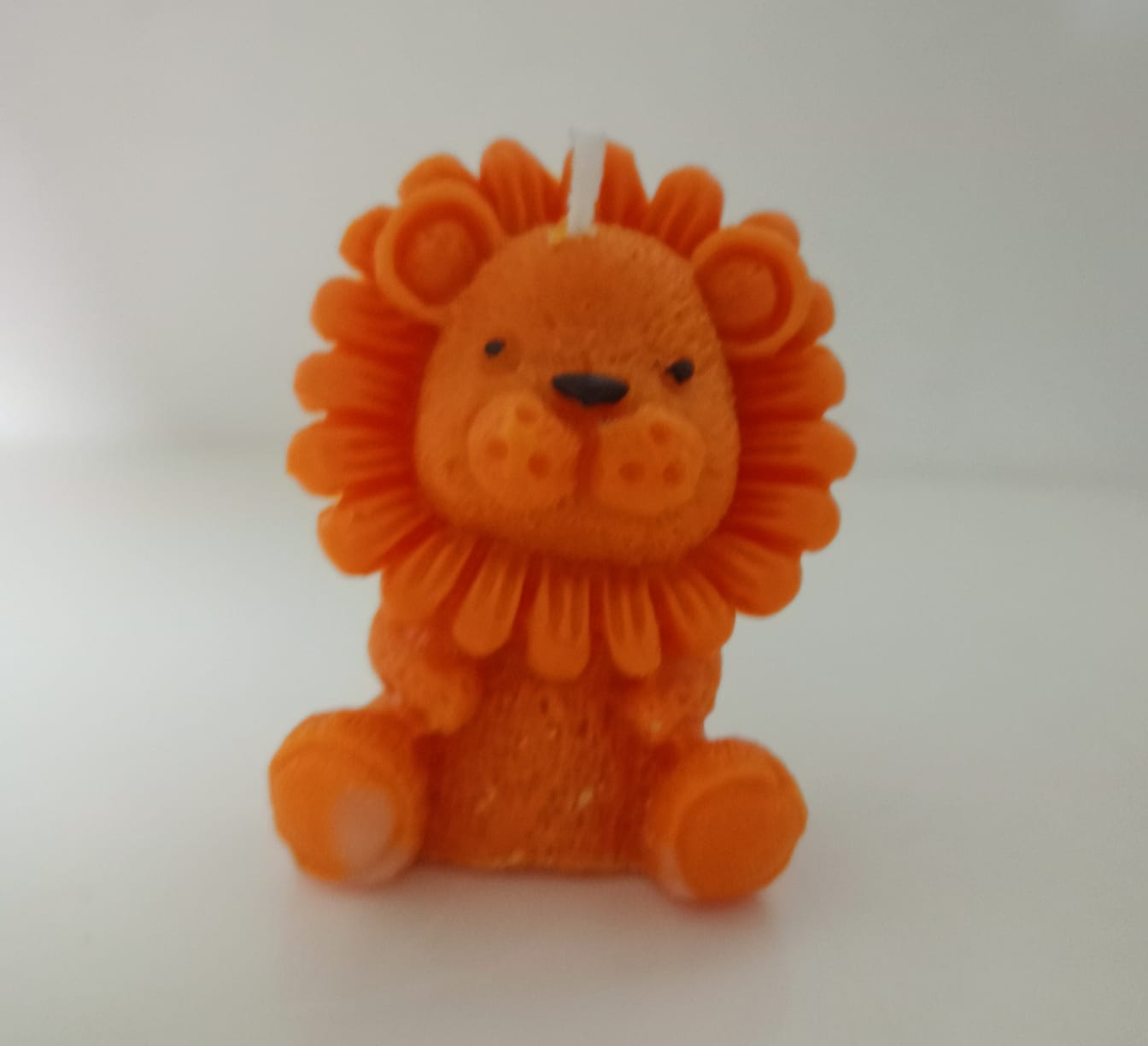 Vela Leoncito 🦁