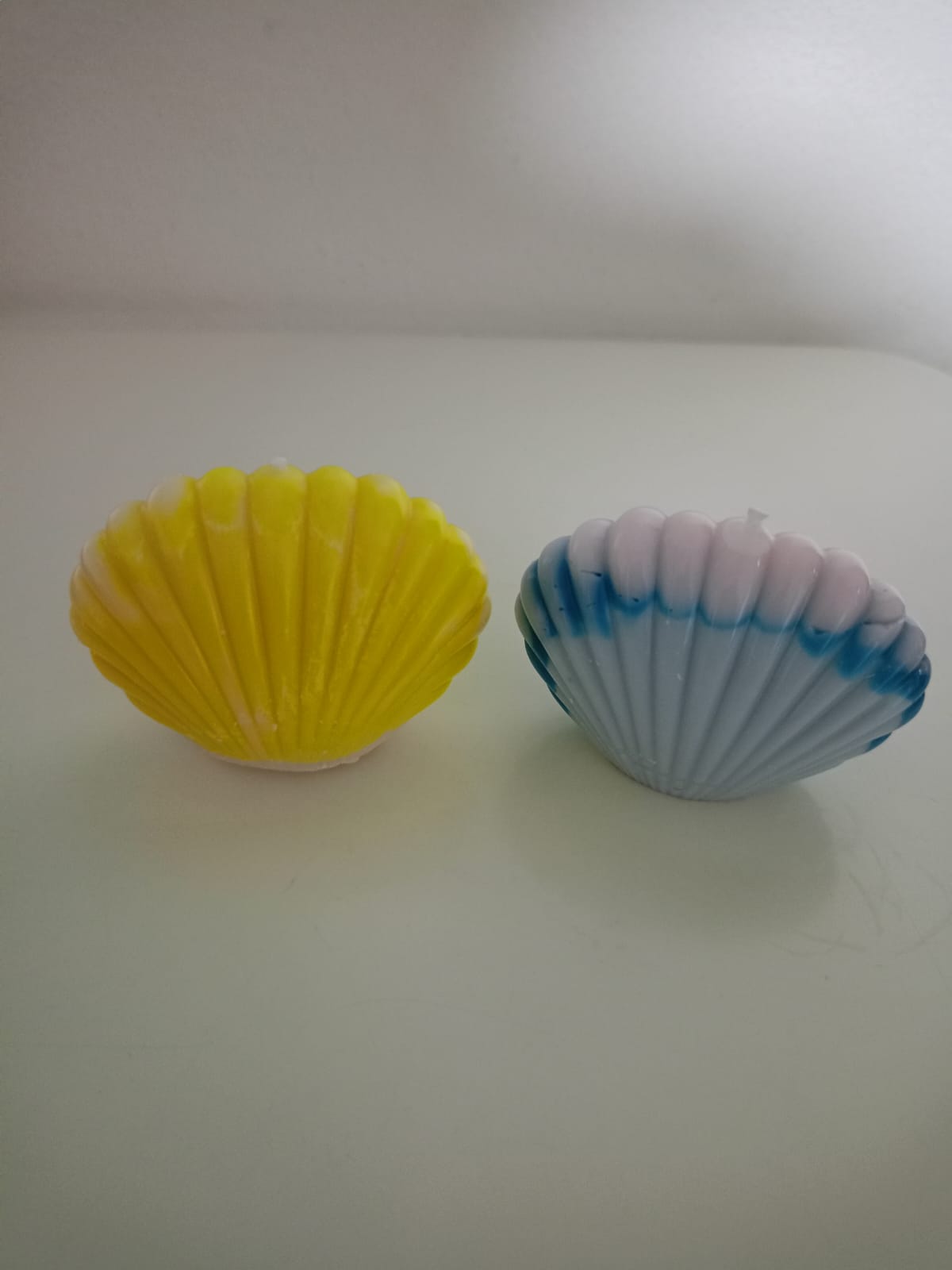 Concha Pequeña 🐚