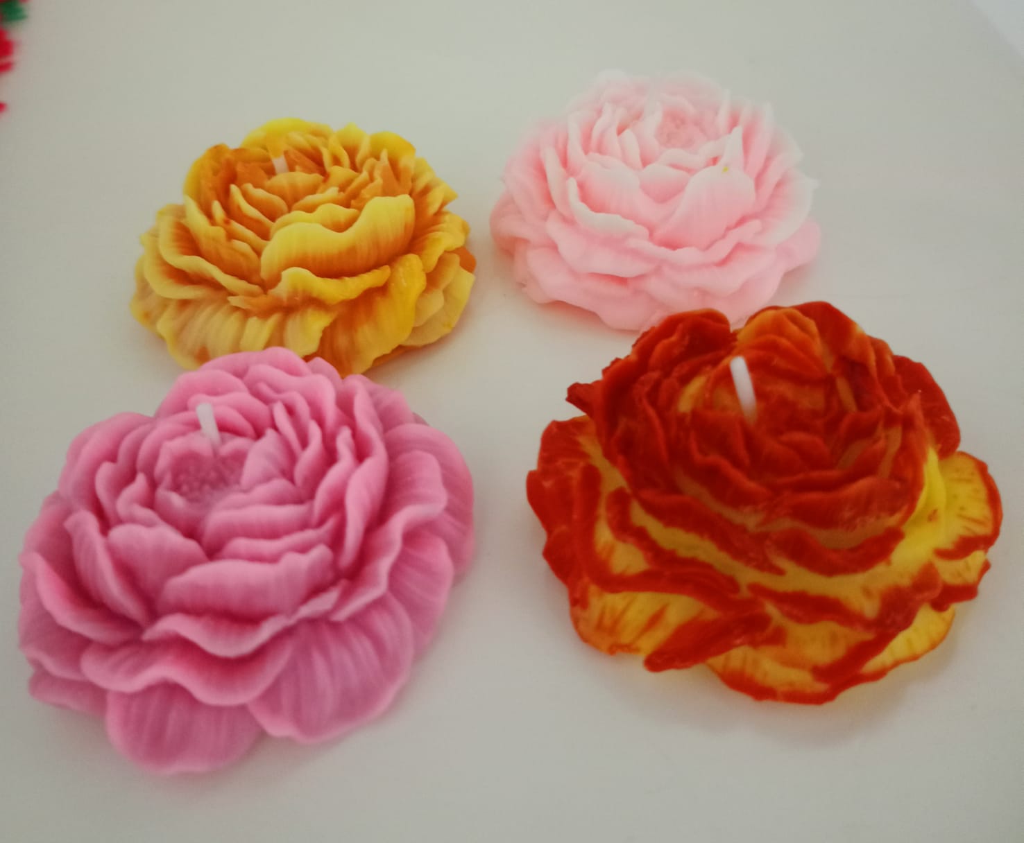 Vela Rosa 🌹