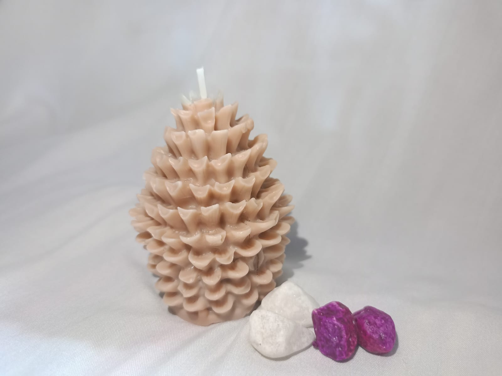  Vela Pino 🌲