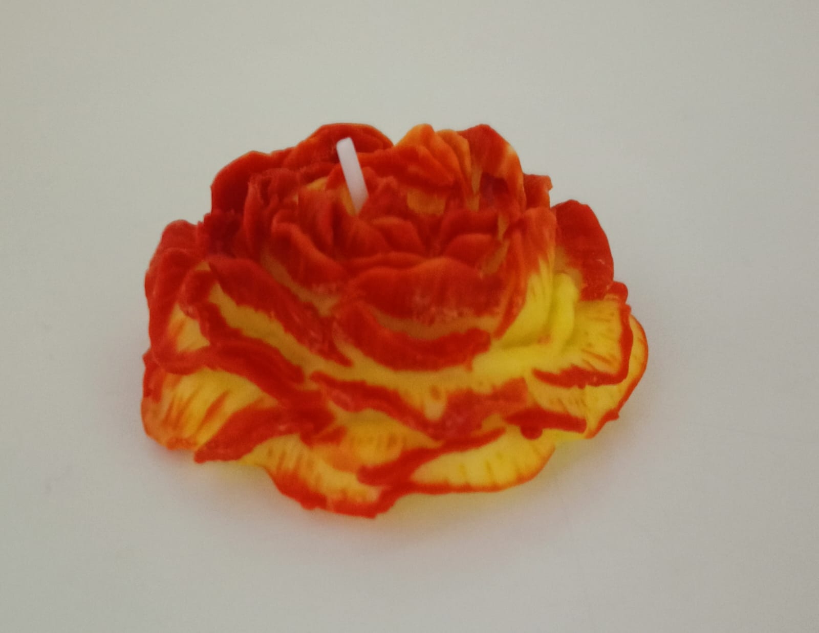 Vela Rosa 🌹