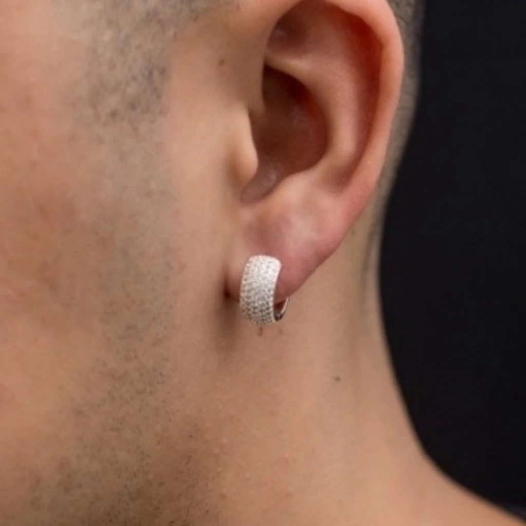  Argola Prata Cravejado Zirconia