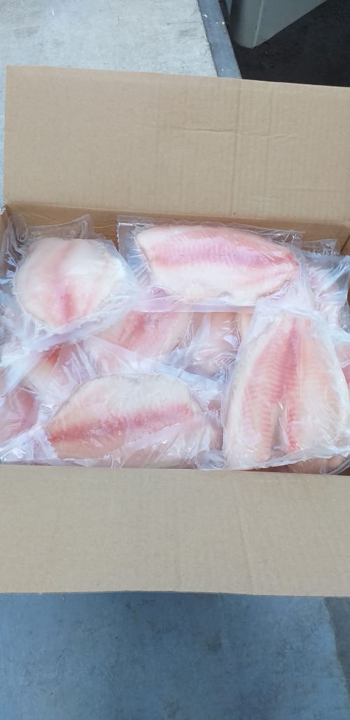 Filetes de tilapia congelados