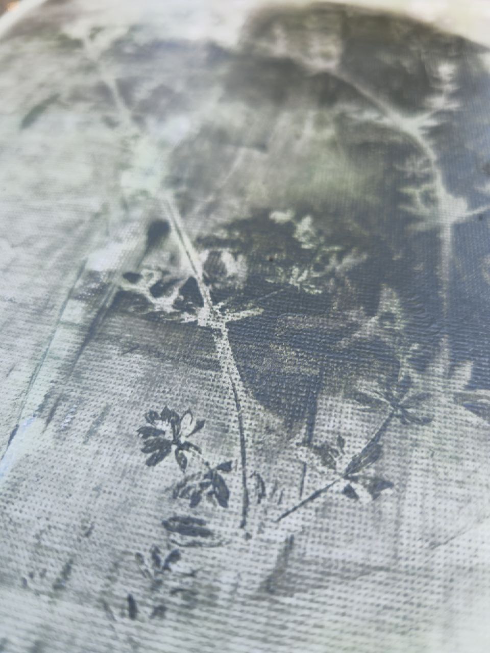 From the - Garden Herbs series. N6