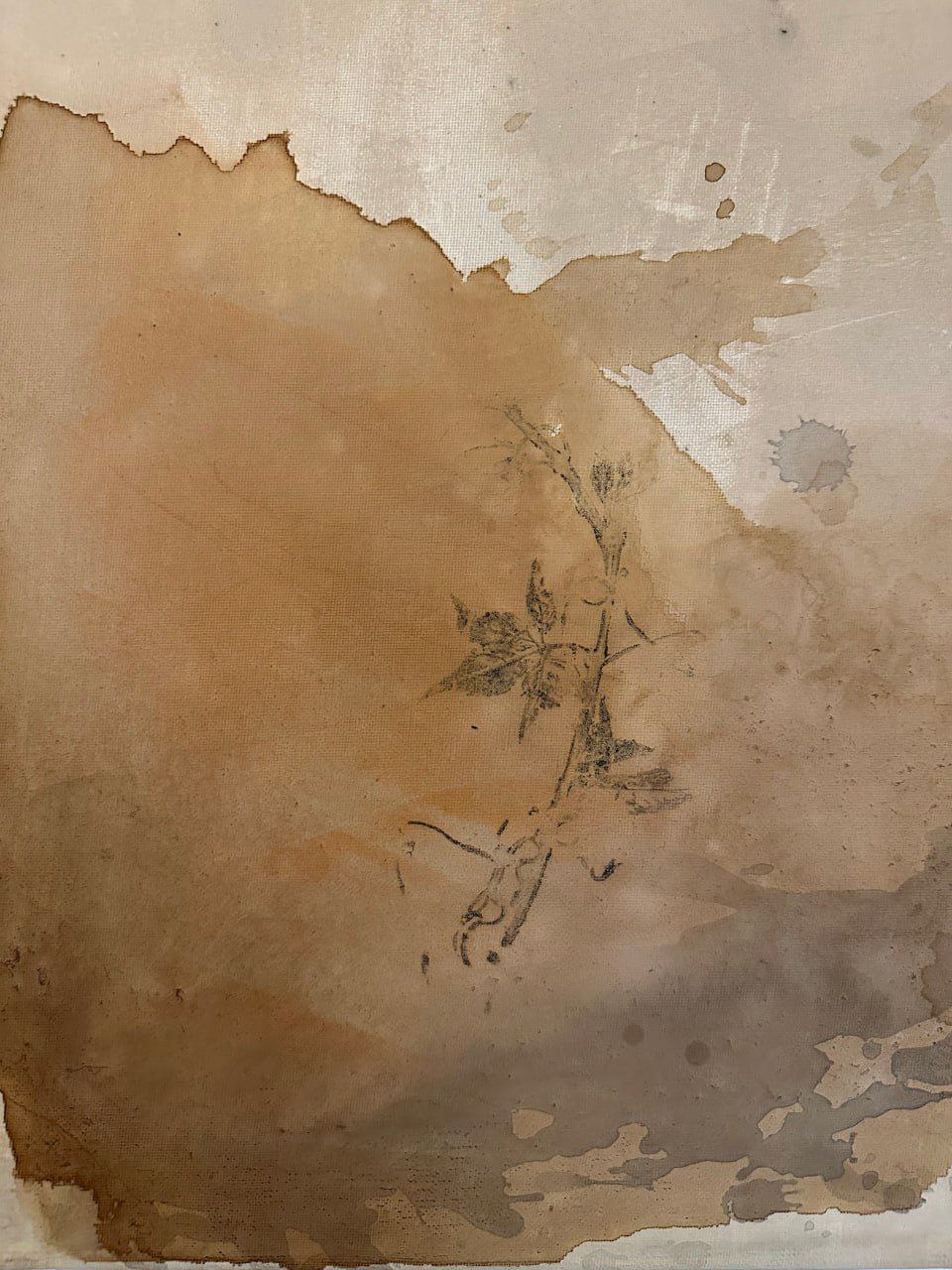 Trace of Stillness N2