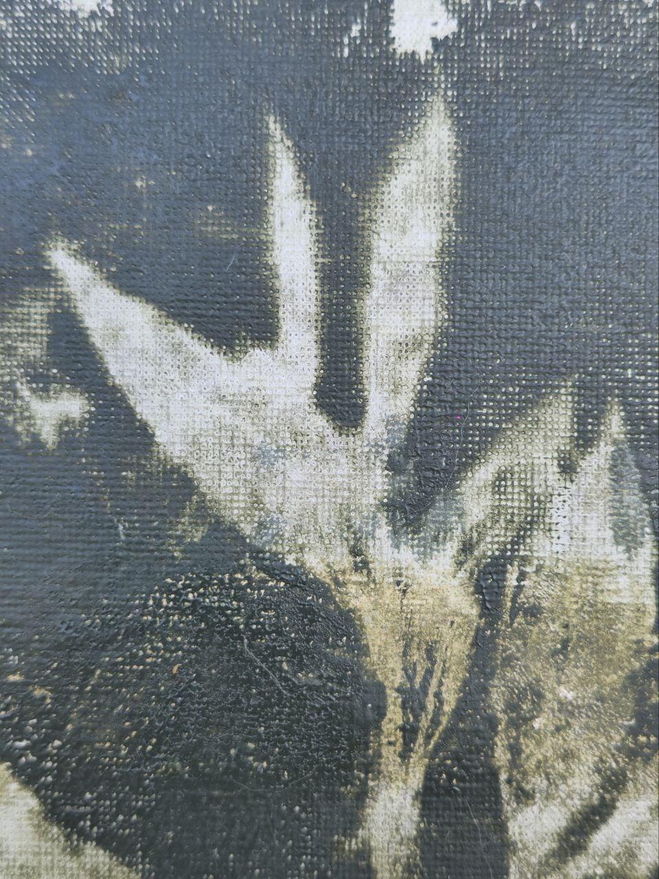 From the - Garden Herbs series. N10