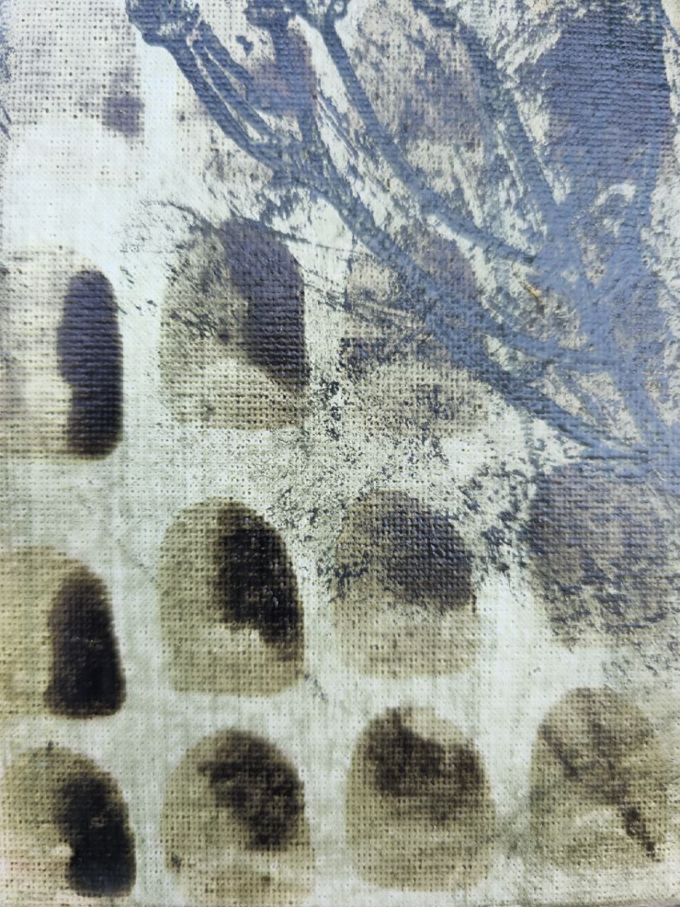 From the - Garden Herbs series. N11