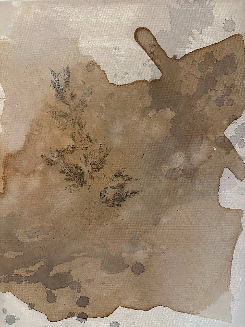 Trace of Stillness N1