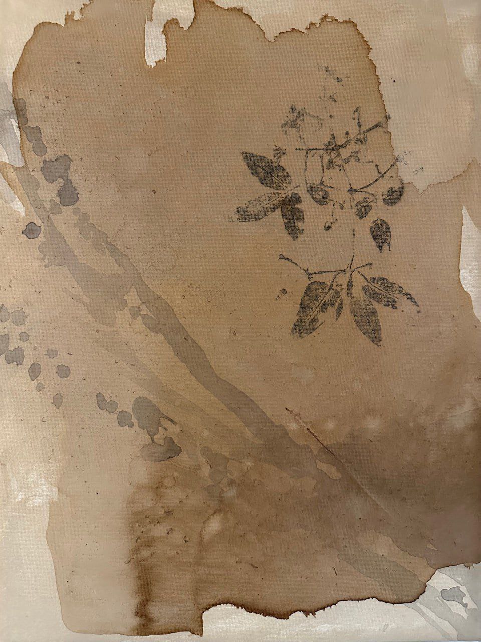 Trace of Stillness N3