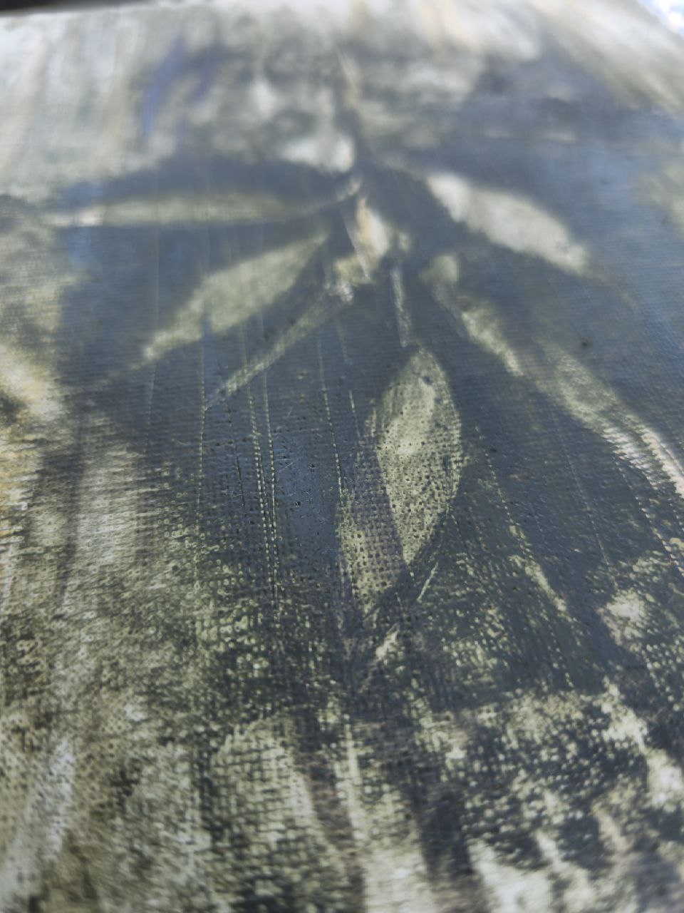 From the - Garden Herbs series. N7