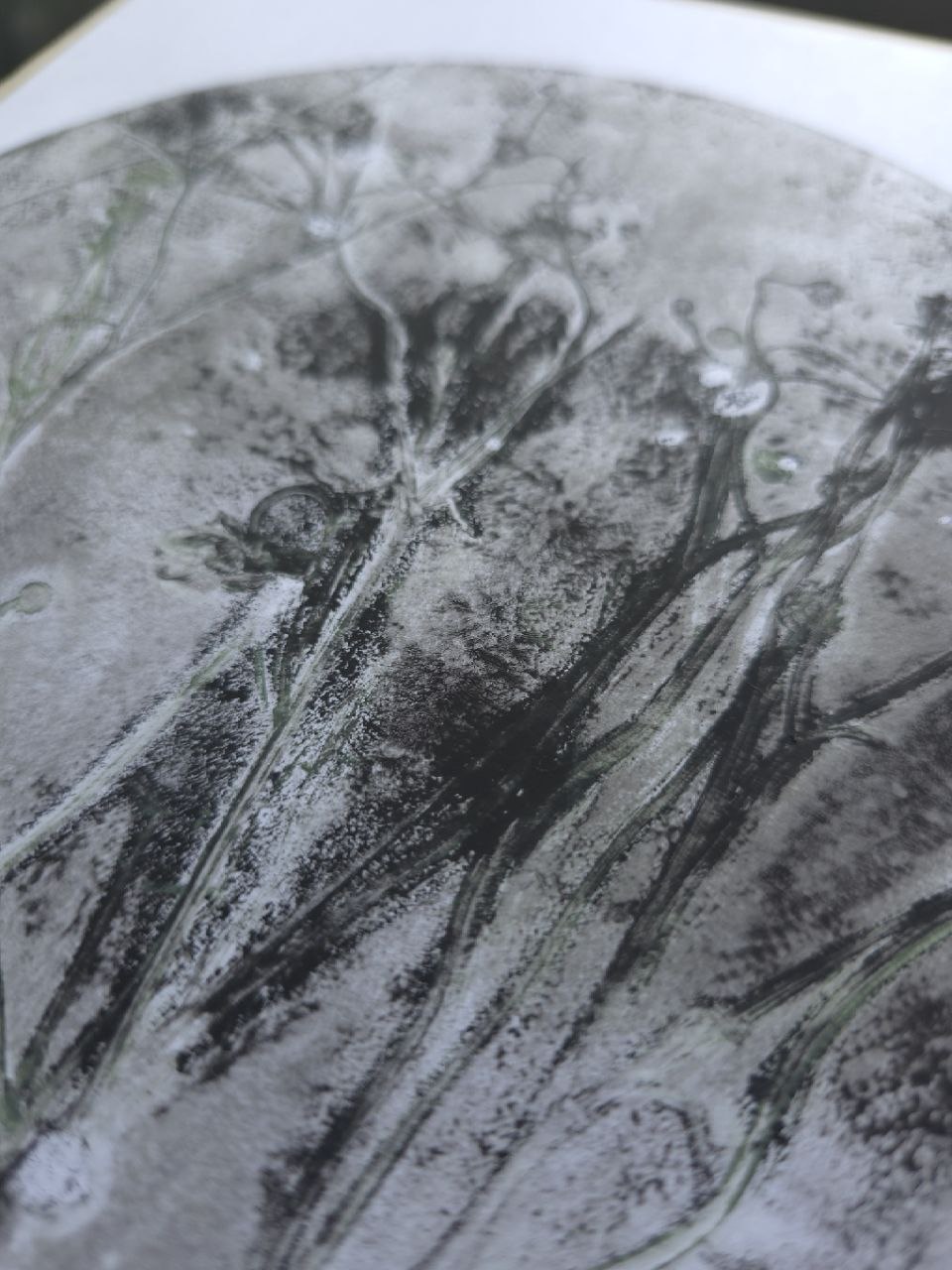 From the Home is Earth series. N1