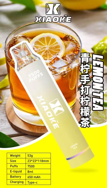 【XIAOKE 梟客】★拋棄式★ 一次性霧化商品 7500口 (可充電)