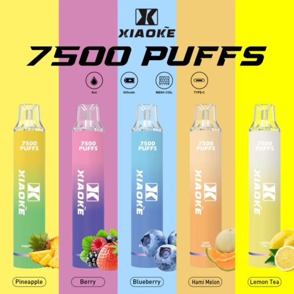 【XIAOKE 梟客】★拋棄式★ 一次性霧化商品 7500口 (可充電)