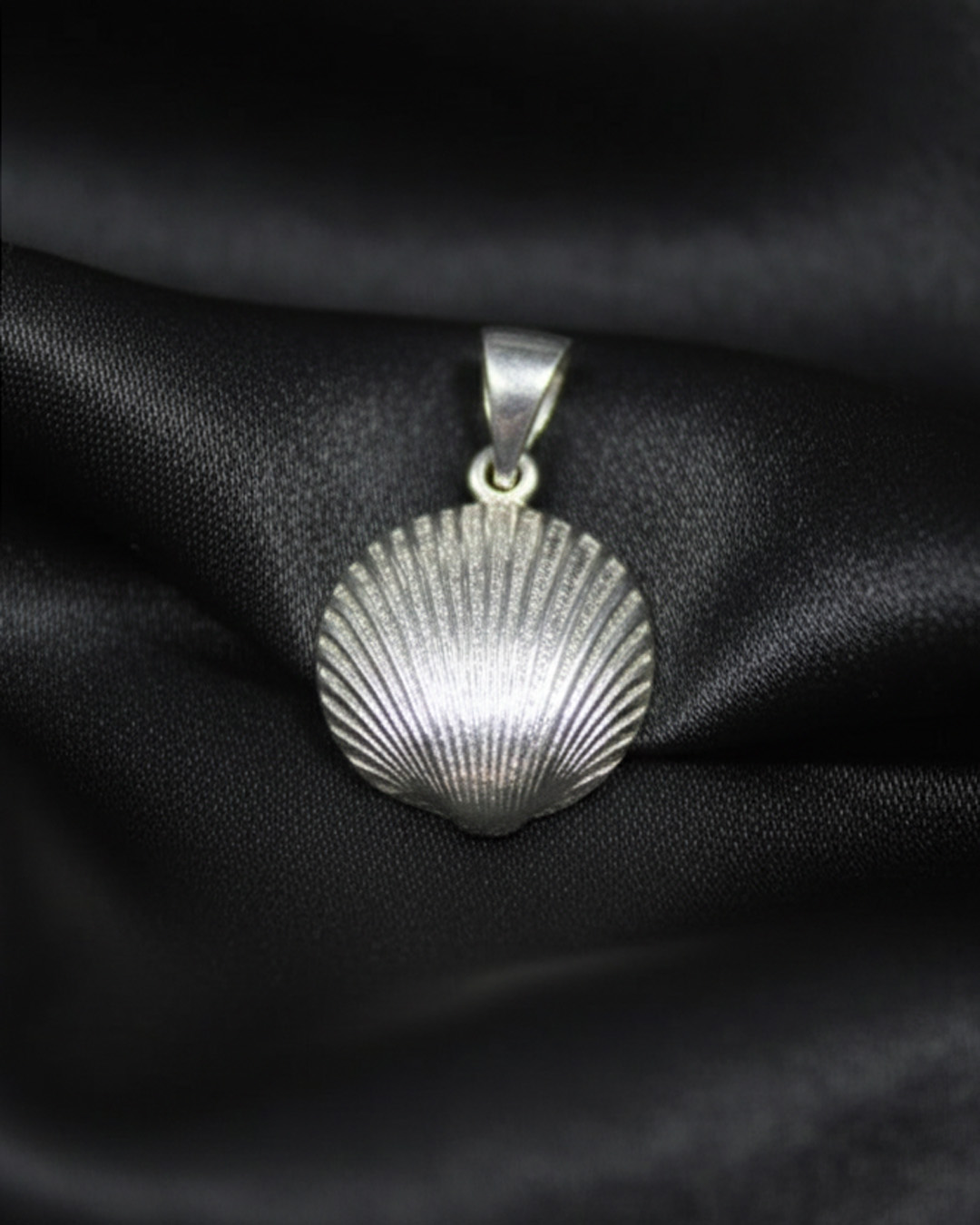 Colgante de concha de plata