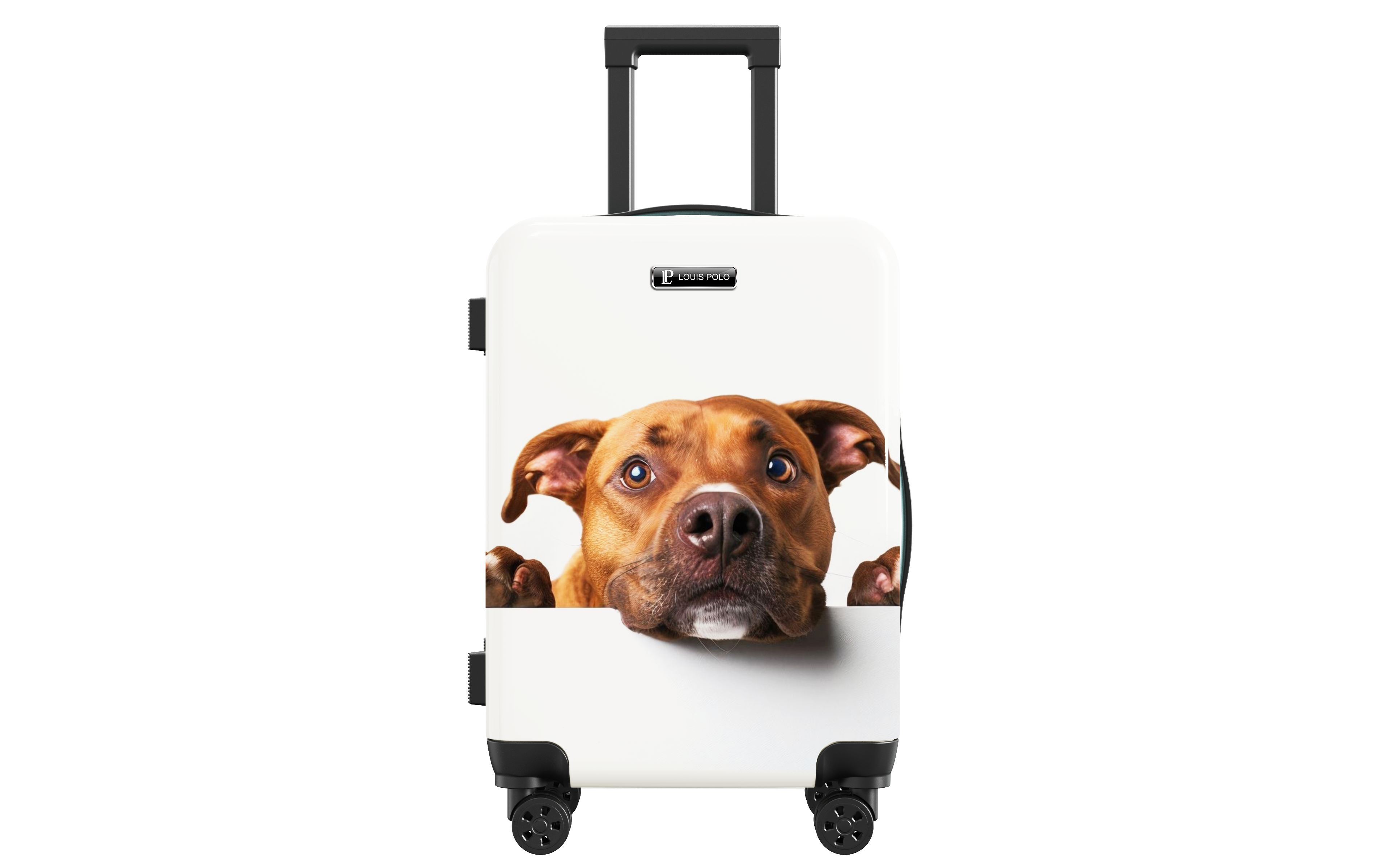 Colorful Character Design Suitcase