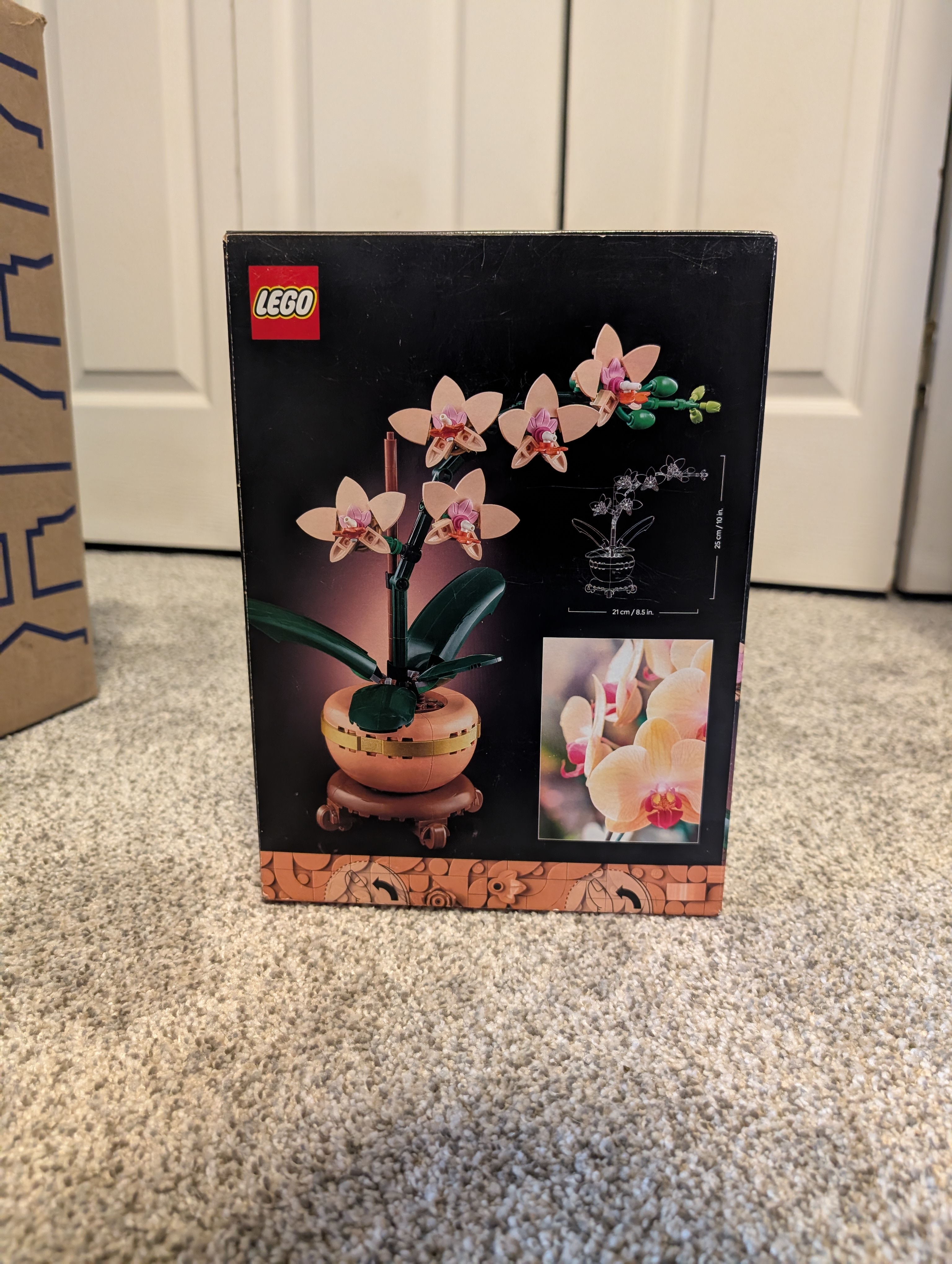 Lego Botanical Mini Orchid Set #10343 NIB