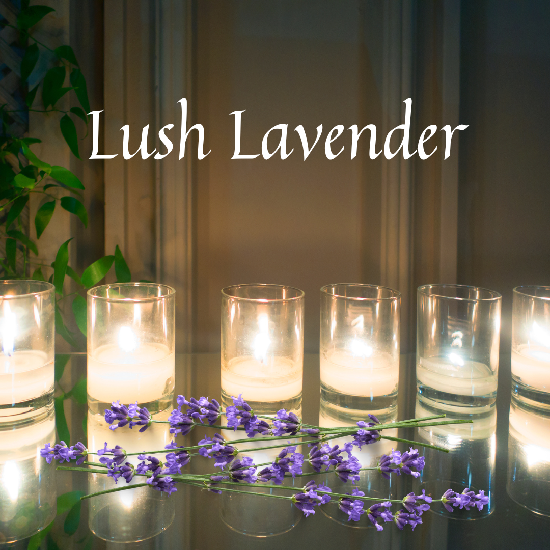 Lush Lavender